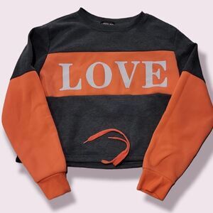 𝅺LOVE LOVE Cropped Sweatshirt | Size 1X